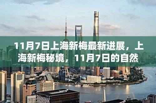 上海新梅秘境,心灵港湾的自然探索之旅(11月7日最新进展)
