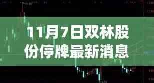 双林股份停牌最新消息揭秘与小巷美食探秘之旅