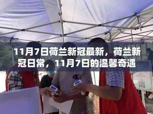 荷兰新冠疫情最新动态，日常更新与友情纽带下的温馨奇遇