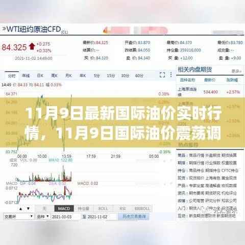11月9日国际油价震荡调整，实时行情揭示市场走势