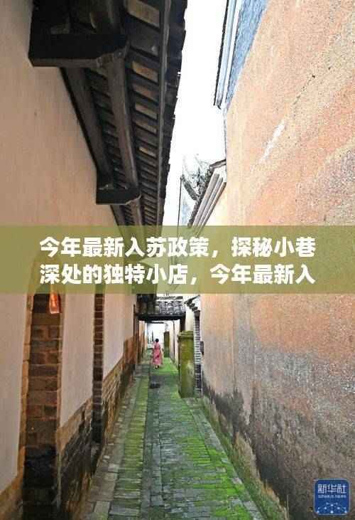 入苏政策下的惊喜发现,小巷深处独特小店探秘