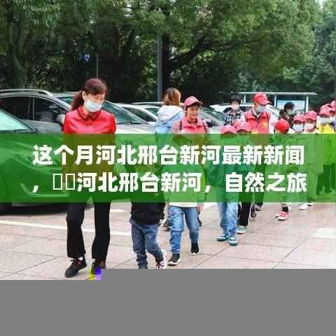 河北邢台新河最新新闻，自然之旅呼唤心灵宁静与欢笑之旅