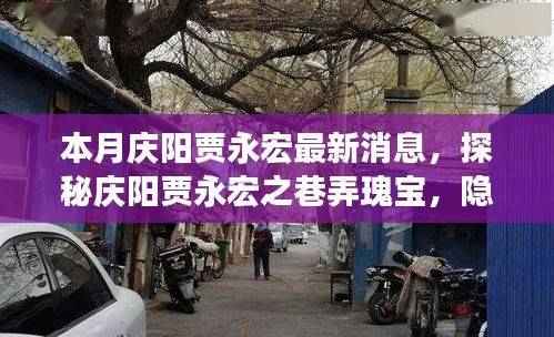 庆阳贾永宏最新动态,巷弄瑰宝探索之旅,小巷特色小店新发现揭秘