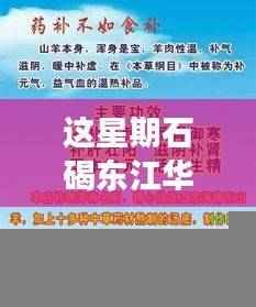 石碣东江华府本周进展,最新动态引领时代风潮纪实