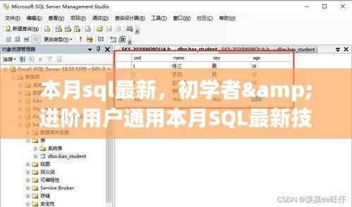 本月SQL最新技能学习,初学者与进阶用户的通用指南