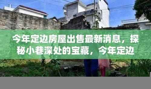 今年定边房屋出售最新消息,小巷深处的宝藏与特色小店故事探秘