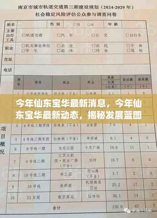 揭秘仙东宝华最新动态,发展蓝图曝光,美好未来展望启动