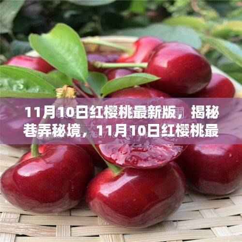 揭秘巷弄秘境,红樱桃最新版美味天堂(11月10日版)