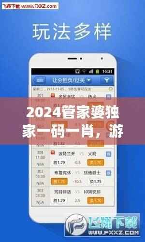 2024管家婆独家一码一肖,游戏CTE916.75版安全评估攻略