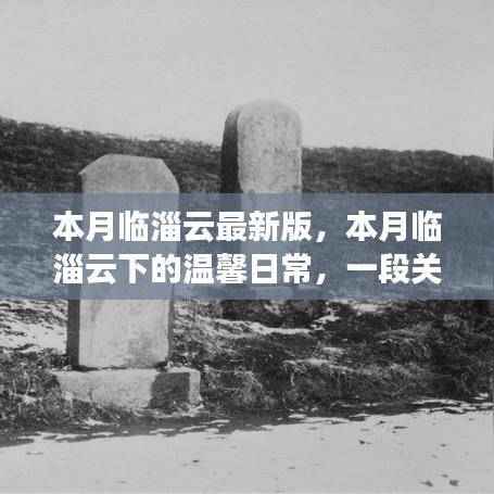 本月临淄云下的温馨日常,友谊、陪伴与探索的趣事
