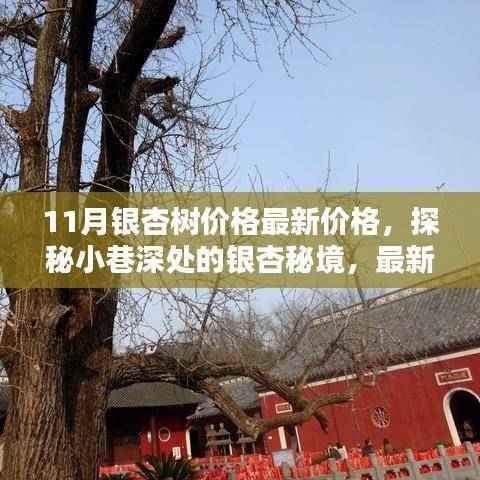 走马观花 第43页