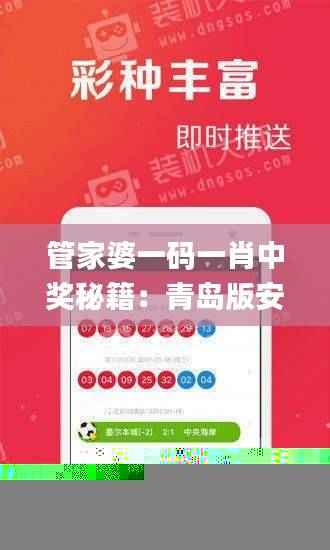 管家婆一码一肖中奖秘籍：青岛版安全解析_适中方案KNZ485.56