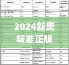 2024新奥精准正版资料,安全策略评估_复刻版EHG550.45