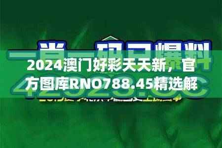 2024澳门好彩天天新,官方图库RNO788.45精选解答