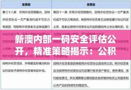 新澳内部一码安全评估公开,精准策略揭示:公积板YLV723.35