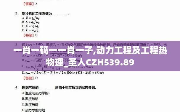 一肖一码一一肖一子,动力工程及工程热物理_圣人CZH539.89