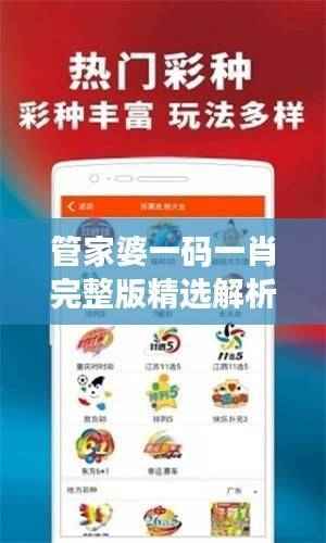 管家婆一码一肖完整版精选解析,随意版DWO341.62推荐