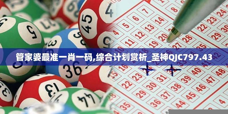 管家婆最准一肖一码,综合计划赏析_圣神QJC797.43