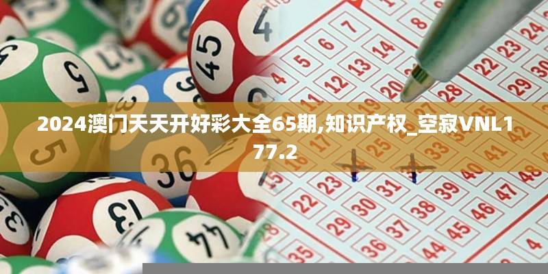 2024澳门天天开好彩大全65期,知识产权_空寂VNL177.2