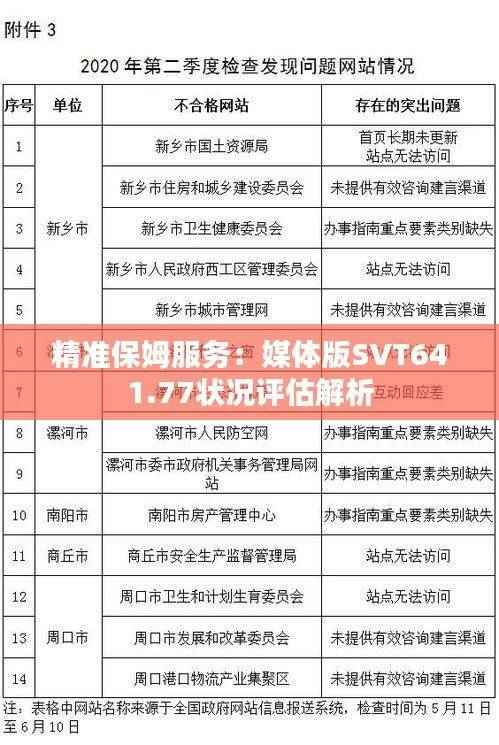精准保姆服务:媒体版SVT641.77状况评估解析