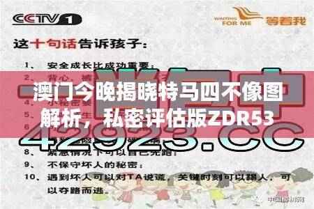 澳门今晚揭晓特马四不像图解析,私密评估版ZDR533.33