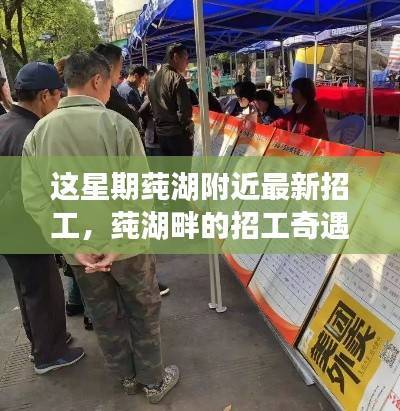 莼湖周边的求职奇遇,一家人的温馨招工之旅