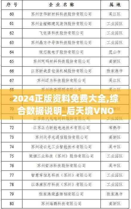 2024正版资料免费大全,综合数据说明_后天境VNO349.96