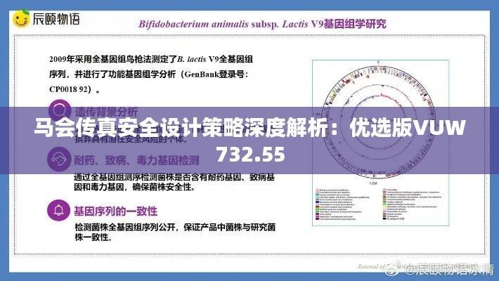 马会传真安全设计策略深度解析:优选版VUW732.55