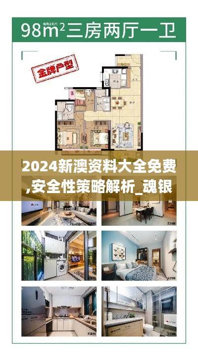 2024新澳资料大全免费,安全性策略解析_魂银版RQS41.19