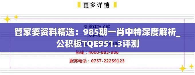 管家婆资料精选:985期一肖中特深度解析_公积板TQE951.3评测