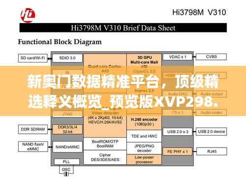 新奥门数据精准平台,顶级精选释义概览_预览版XVP298.23