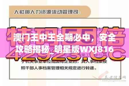 澳门王中王全期必中,安全攻略揭秘_明星版WXJ816.95