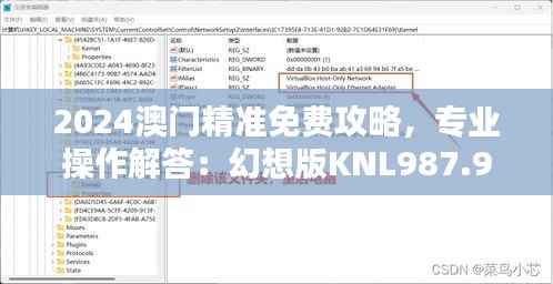 2024澳门精准免费攻略,专业操作解答:幻想版KNL987.93