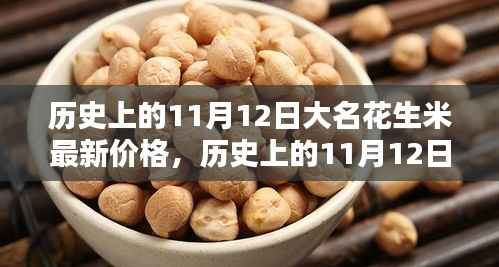 探寻大名花生米最新价格,历史上的11月12日揭秘小秘密