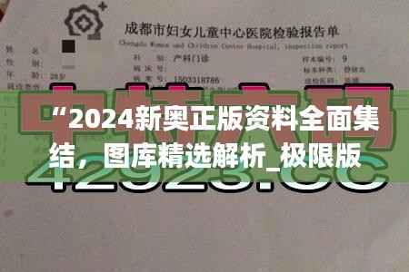 “2024新奥正版资料全面集结，图库精选解析_极限版XLE793.91”