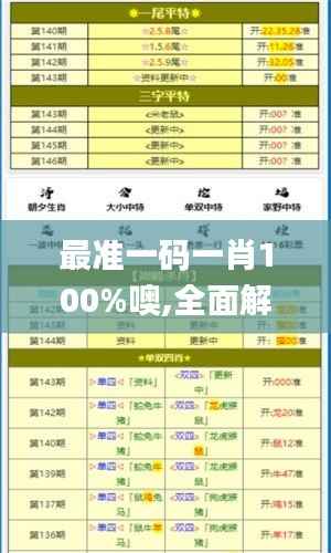 最准一码一肖100%噢,全面解答解析_个人版GTQ505.39
