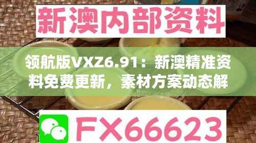 领航版VXZ6.91:新澳精准资料免费更新,素材方案动态解答最新版