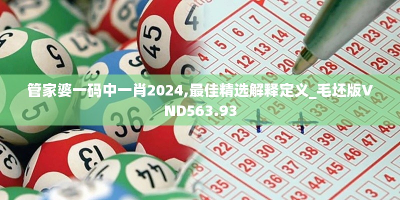 管家婆一码中一肖2024,最佳精选解释定义_毛坯版VND563.93