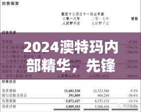 2024澳特玛内部精华,先锋VSN351.05评估准则