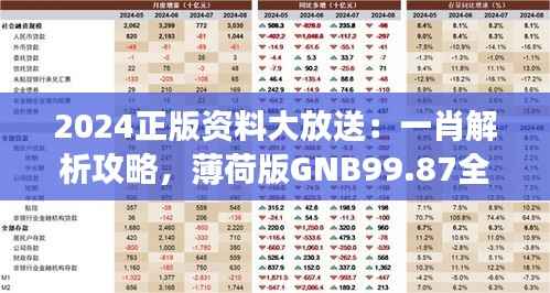 2024正版资料大放送:一肖解析攻略,薄荷版GNB99.87全新解读