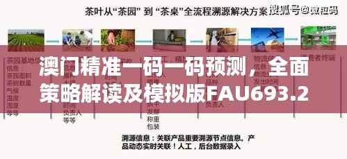澳门精准一码一码预测,全面策略解读及模拟版FAU693.28展示