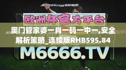 奥门管家婆一肖一码一中一,安全解析策略_连续版RHB595.84