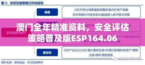 澳门全年精准资料,安全评估策略普及版ESP164.06