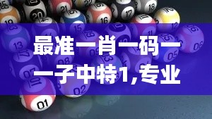 最准一肖一码一一子中特1,专业执行问题_四象境NIG247.55