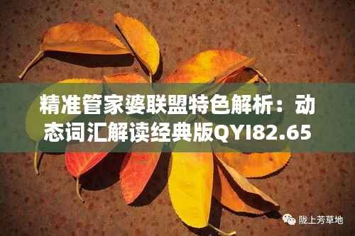 精准管家婆联盟特色解析:动态词汇解读经典版QYI82.65
