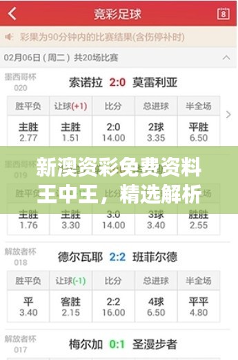 新澳资彩免费资料王中王,精选解析高效版XQE901.04指南