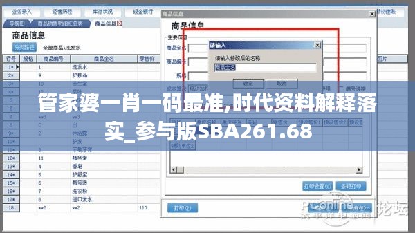 管家婆一肖一码最准,时代资料解释落实_参与版SBA261.68