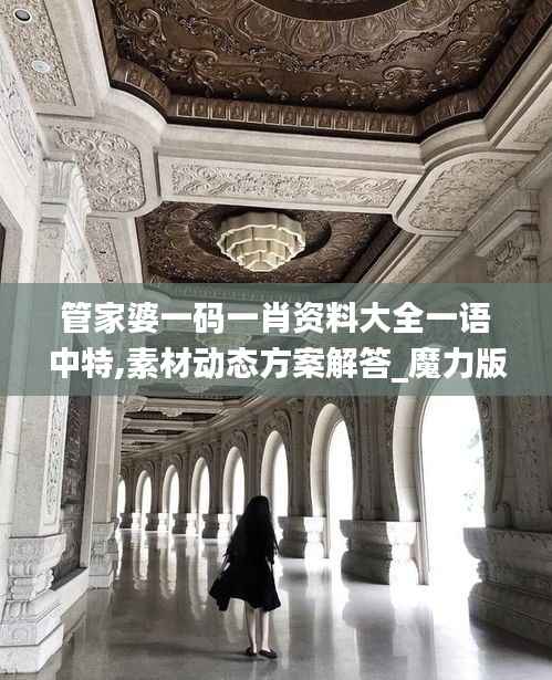 管家婆一码一肖资料大全一语中特,素材动态方案解答_魔力版OVY67.32