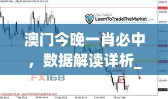 澳门今晚一肖必中,数据解读详析_社交平台YMN660.68