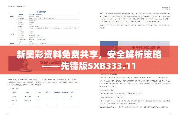 新奥彩资料免费共享,安全解析策略——先锋版SXB333.11